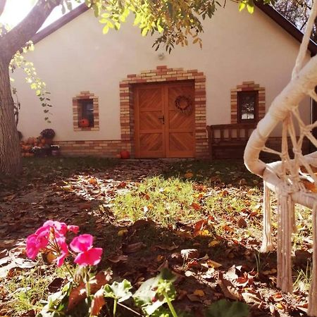 Apartamento Góhér pince és vendégház Csaszartoltes Exterior foto