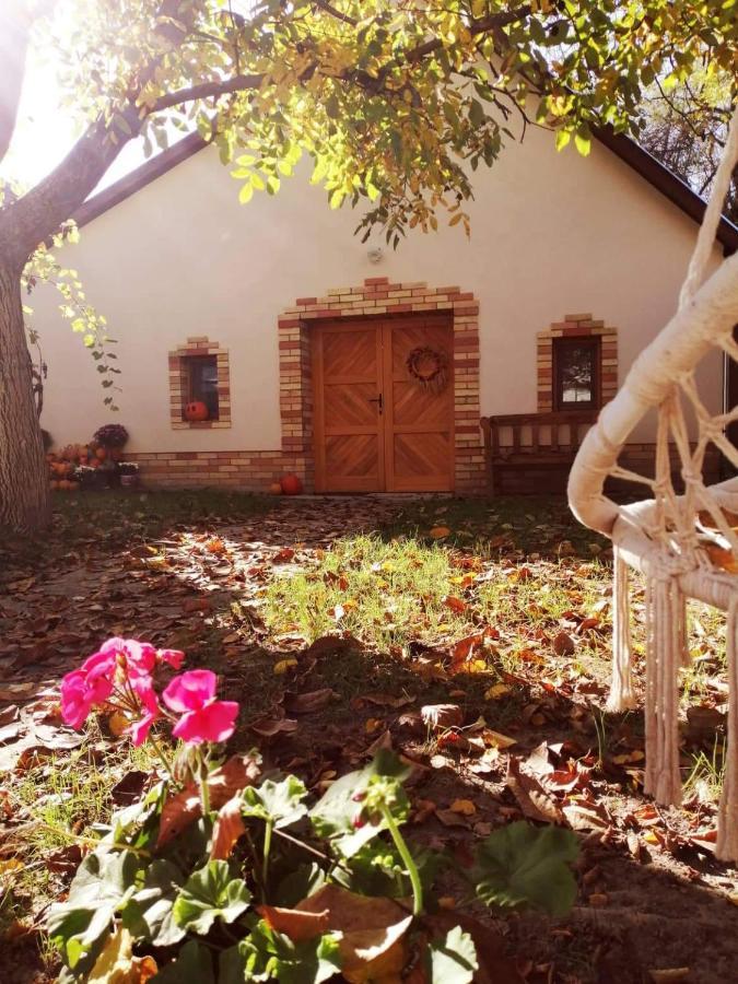 Apartamento Góhér pince és vendégház Csaszartoltes Exterior foto